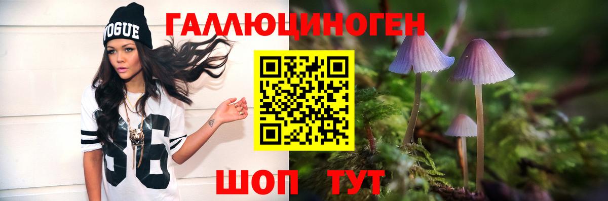 Выкса  Галлюциногенные грибы прущие грибы  Вход с VPN 